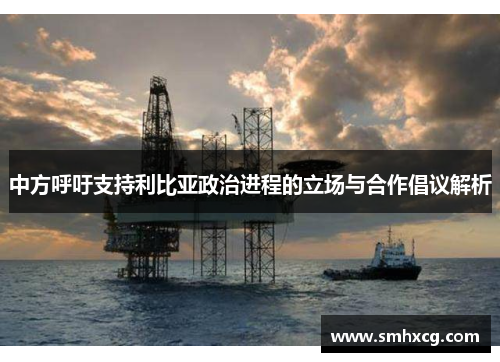 中方呼吁支持利比亚政治进程的立场与合作倡议解析