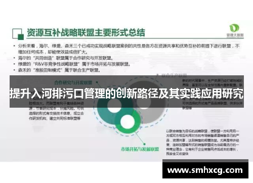 提升入河排污口管理的创新路径及其实践应用研究