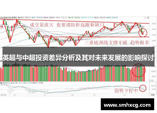 英超与中超投资差异分析及其对未来发展的影响探讨